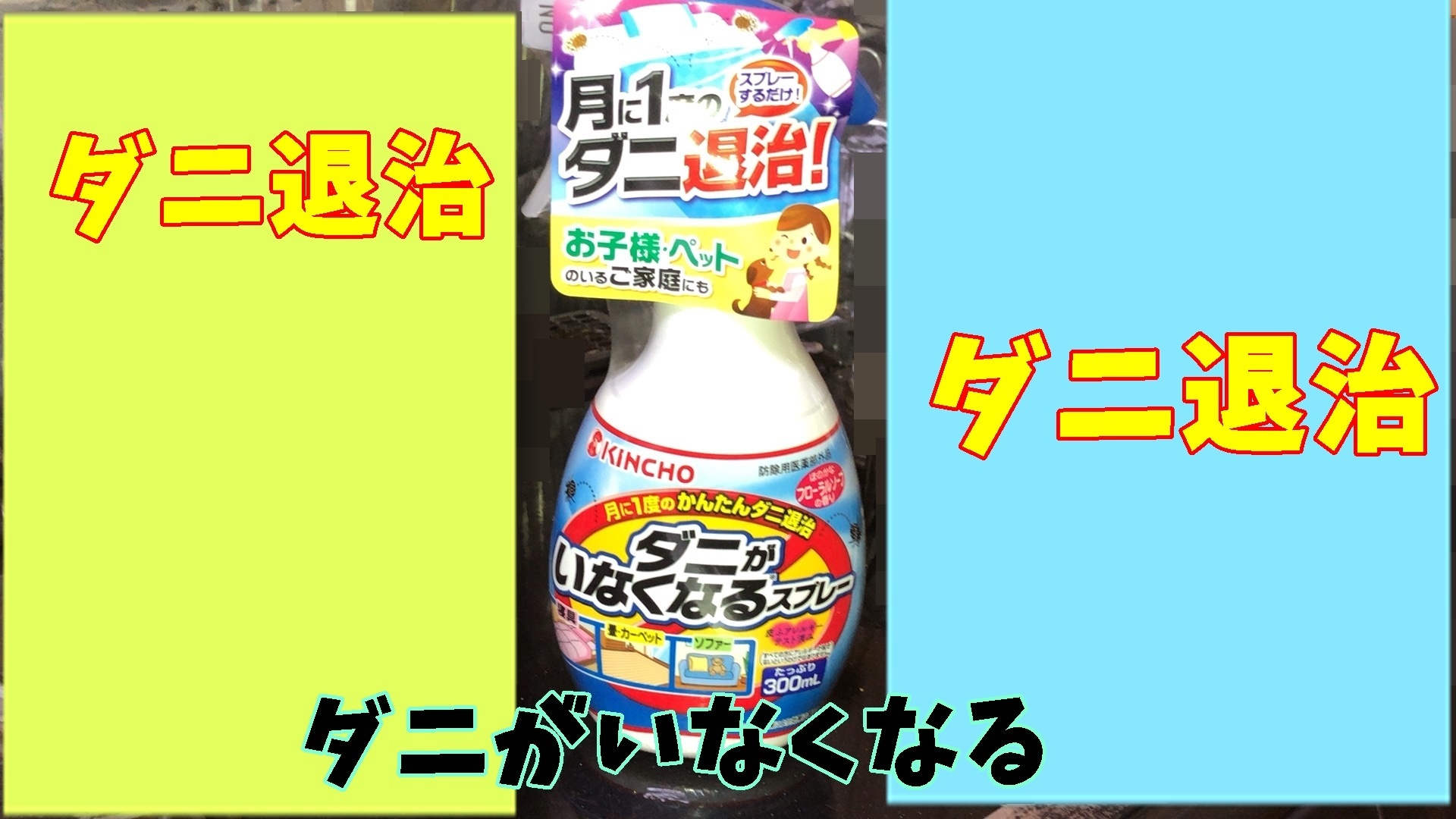 ダニがいなくなるスプレー Kincho 編 ねこのきもち 茶トラ猫の恋太郎と私 一日一食貧乏日記