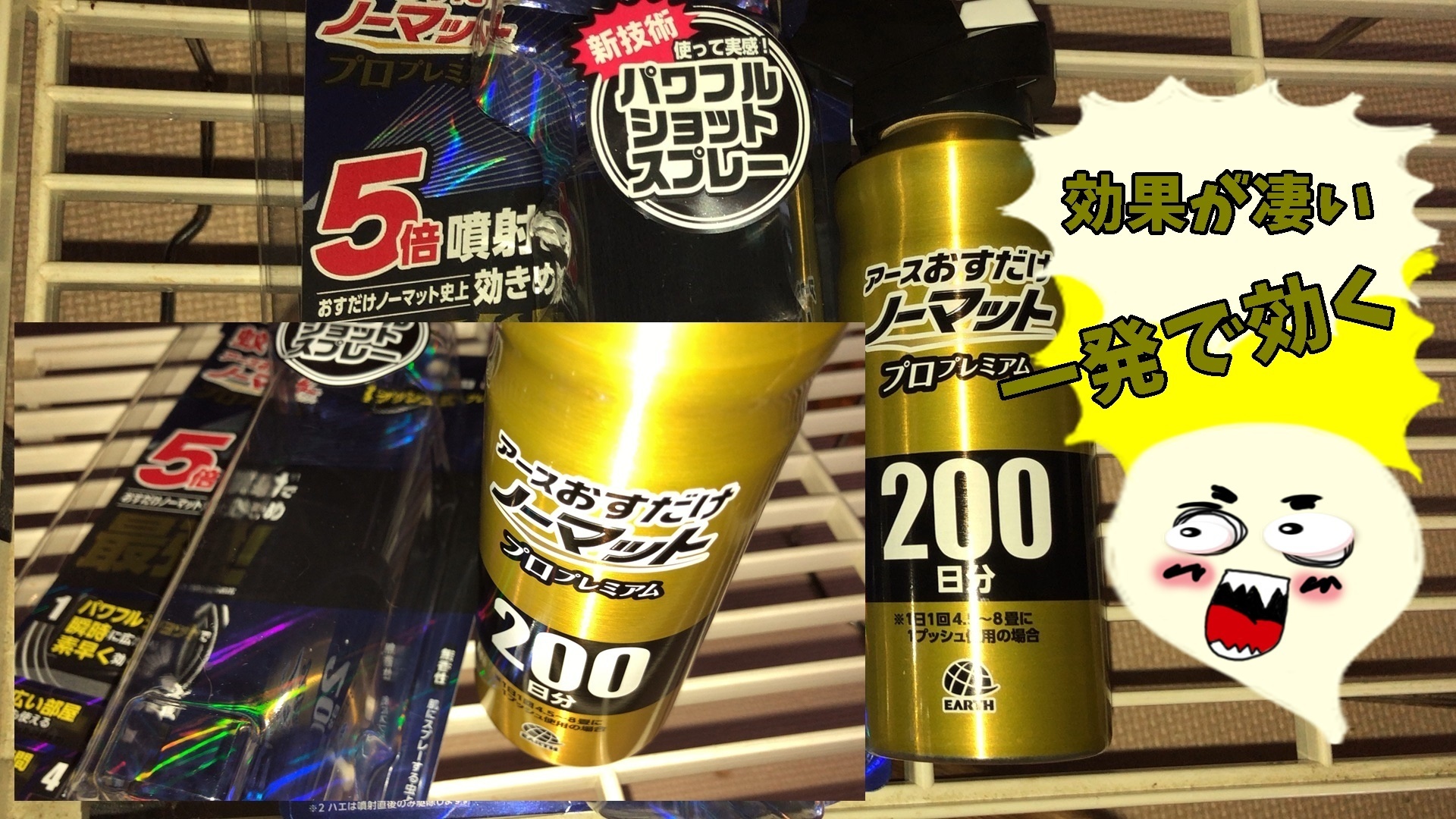 最強 蚊 ハエに効く 編 ねこのきもち 茶トラ猫の恋太郎と私 一日一食貧乏日記