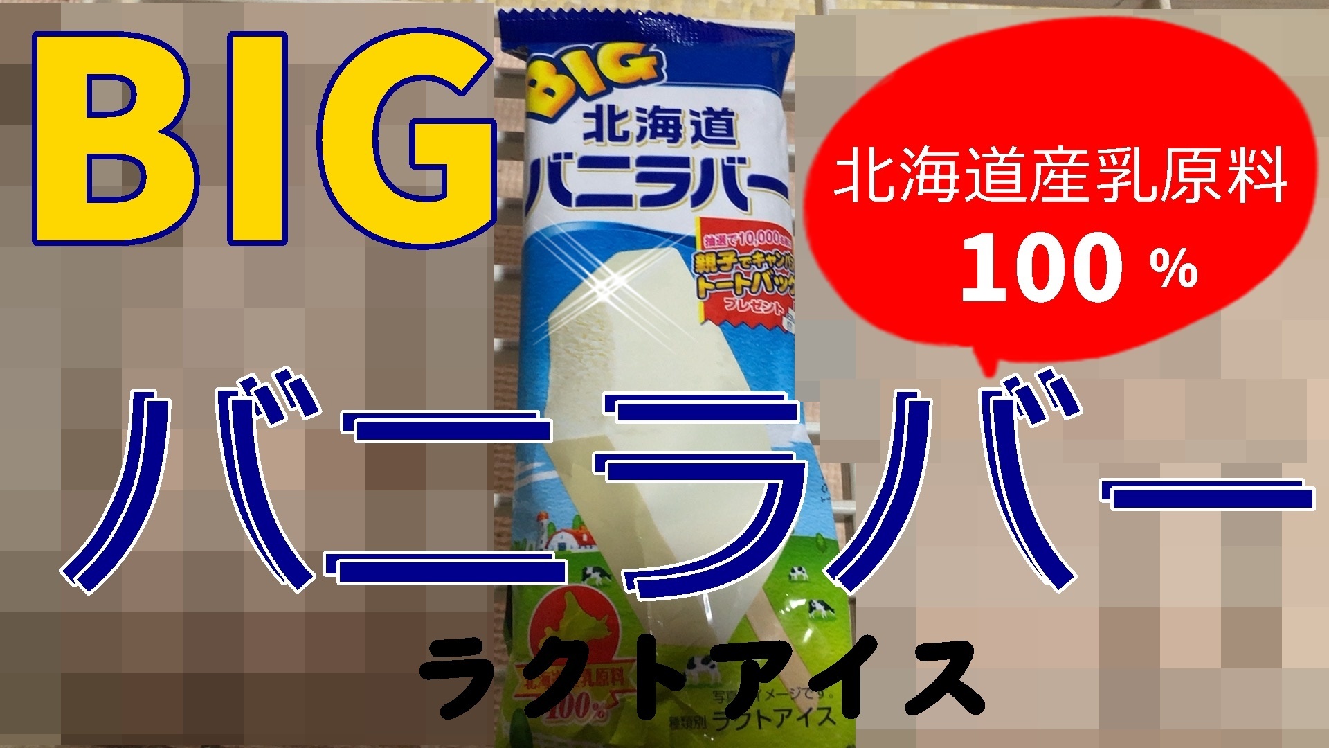 大河の一滴 五木寛之著編 ねこのきもち 茶トラ猫の恋太郎と私 一日一食貧乏日記